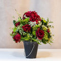 Scarlet Rose